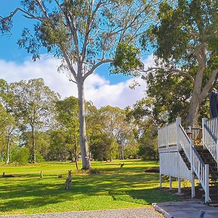 Lake Weyba Noosa Lodge & Kangaroos Перегиан-Бич Экстерьер фото