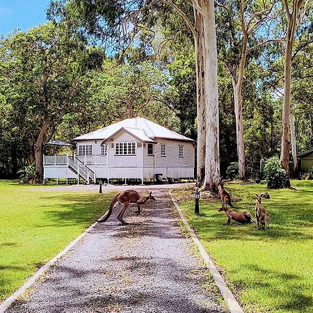 Lake Weyba Noosa Lodge & Kangaroos Перегиан-Бич Экстерьер фото