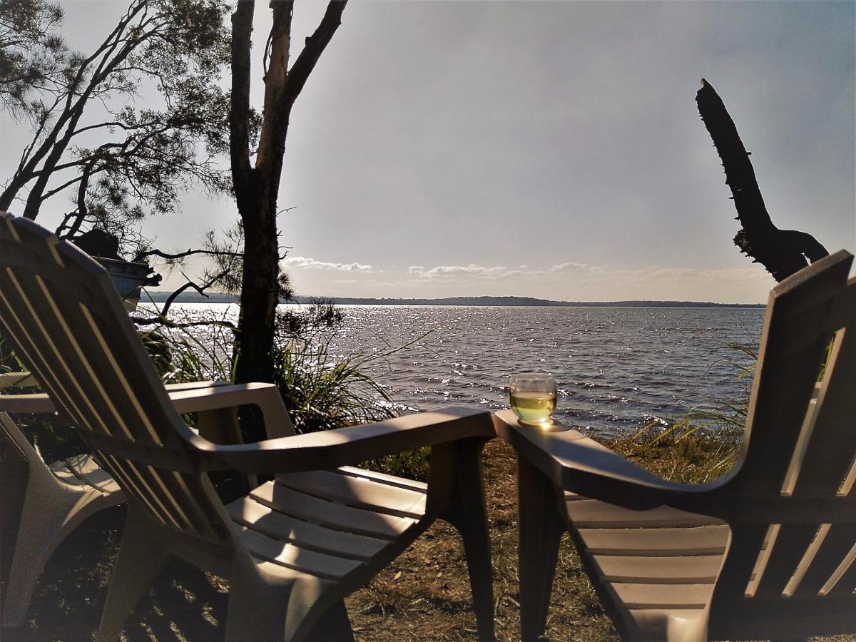 Lake Weyba Noosa Lodge & Kangaroos Перегиан-Бич Экстерьер фото