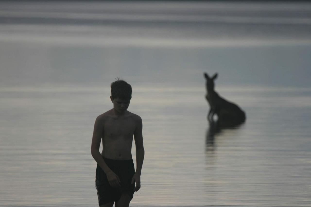 Lake Weyba Noosa Lodge & Kangaroos Перегиан-Бич Экстерьер фото