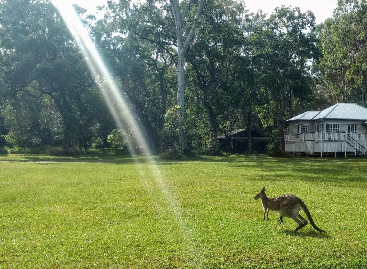 Lake Weyba Noosa Lodge & Kangaroos Перегиан-Бич Экстерьер фото