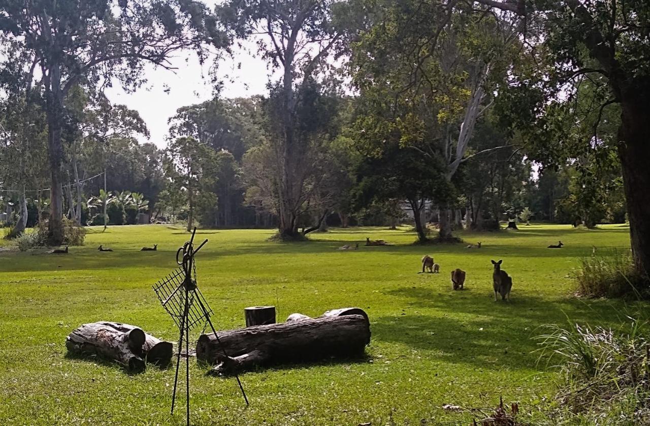 Lake Weyba Noosa Lodge & Kangaroos Перегиан-Бич Экстерьер фото