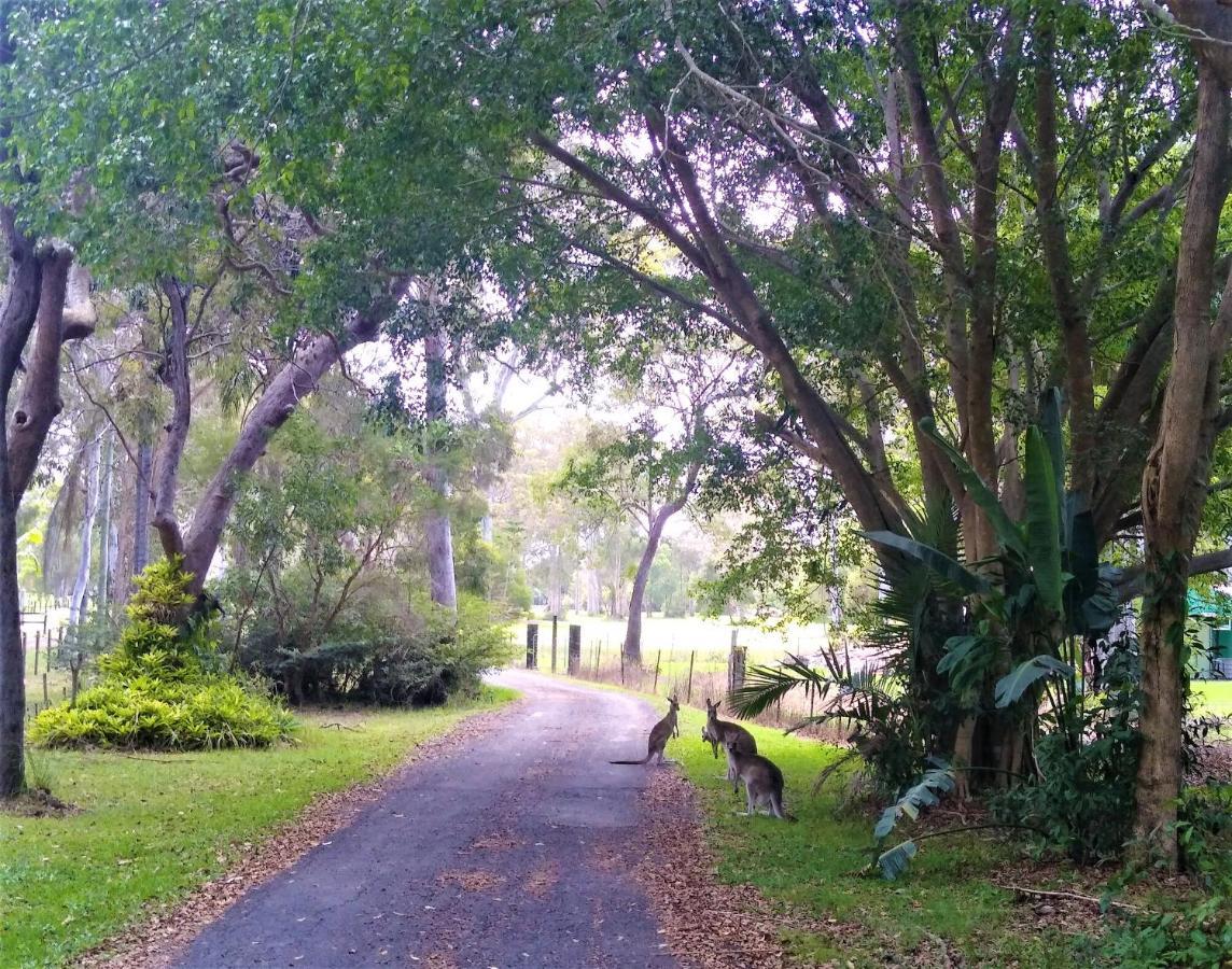 Lake Weyba Noosa Lodge & Kangaroos Перегиан-Бич Экстерьер фото