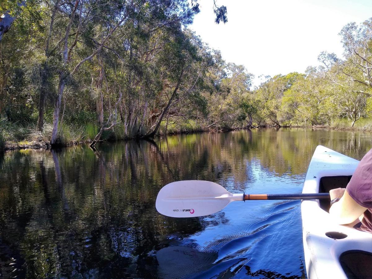 Lake Weyba Noosa Lodge & Kangaroos Перегиан-Бич Экстерьер фото