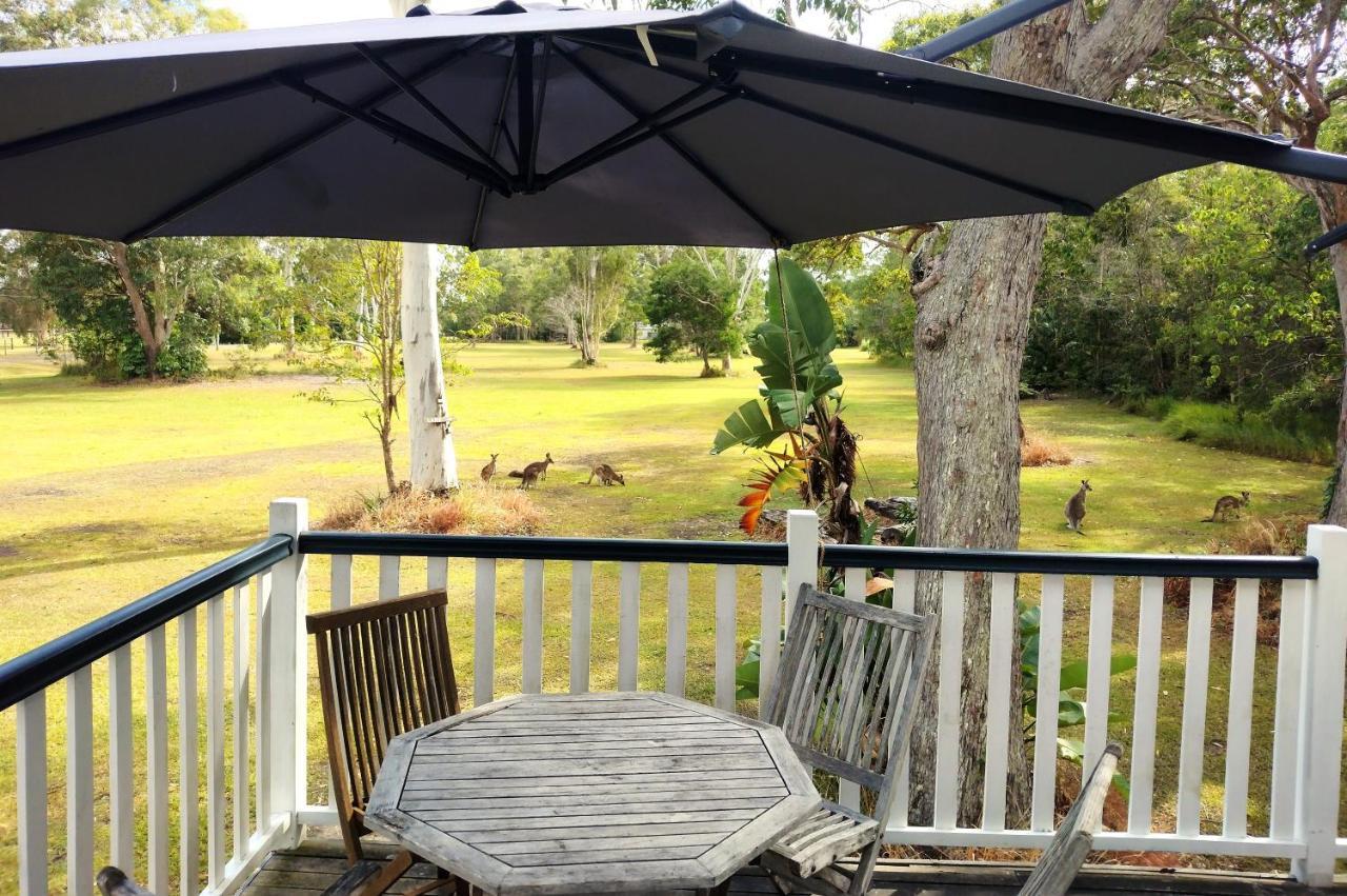 Lake Weyba Noosa Lodge & Kangaroos Перегиан-Бич Экстерьер фото