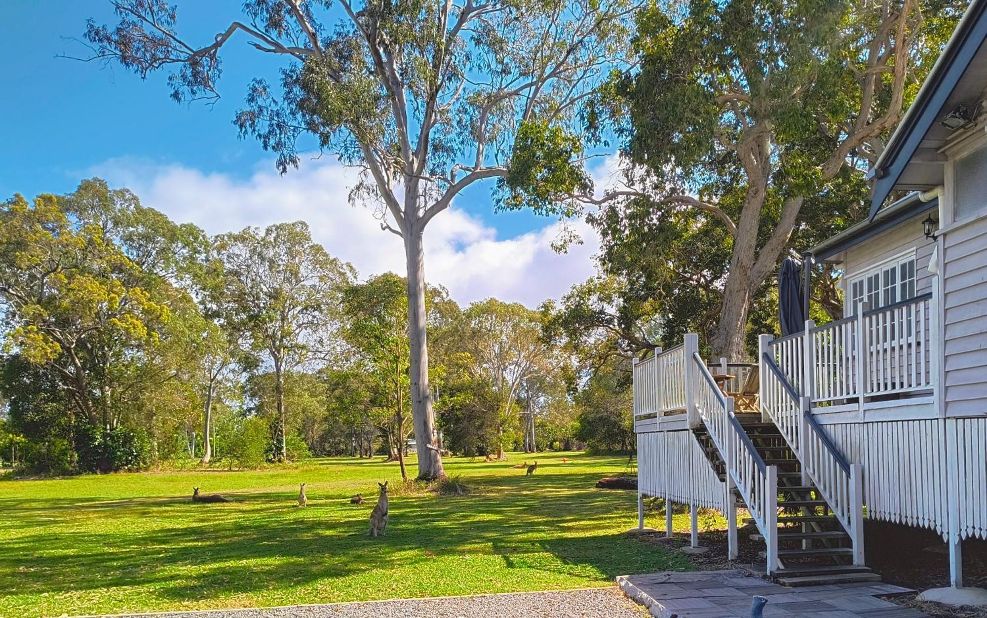 Lake Weyba Noosa Lodge & Kangaroos Перегиан-Бич Экстерьер фото