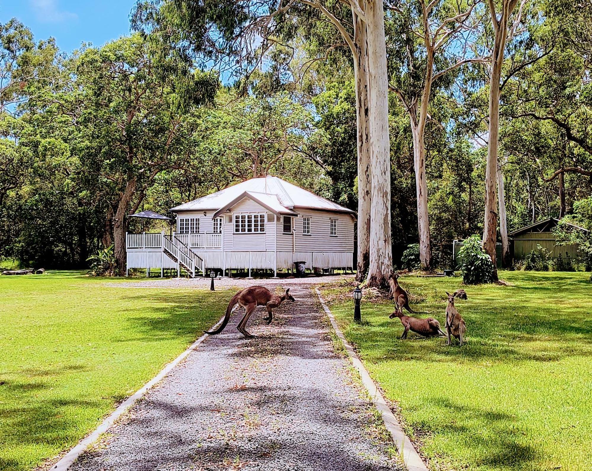 Lake Weyba Noosa Lodge & Kangaroos Перегиан-Бич Экстерьер фото